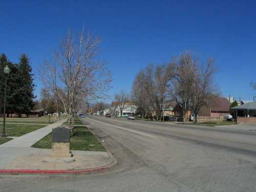 A quiet street scene with bare trees, houses, and a clear blue sky on a sunny day.