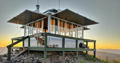 A rustic lookout tower on a mountain at sunset, with a dog standing on the porch and scenic views in the background.