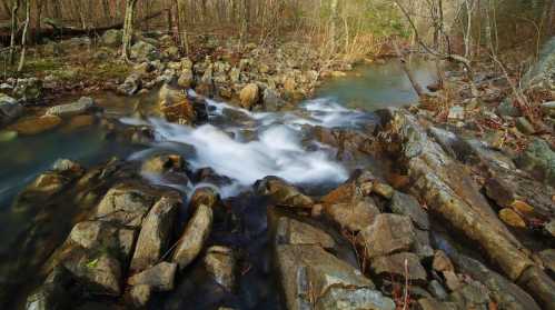 A serene stream flows over smooth rocks in a wooded area, surrounded by trees and gentle greenery.