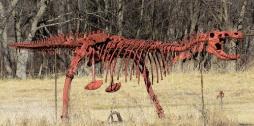 A large, rusted metal sculpture resembling a dinosaur skeleton stands in a grassy field with trees in the background.