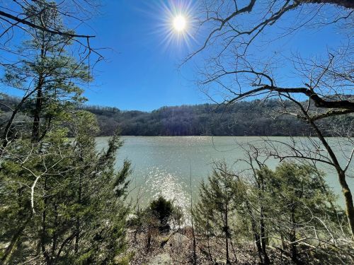 A serene lake surrounded by trees under a bright sun and clear blue sky.