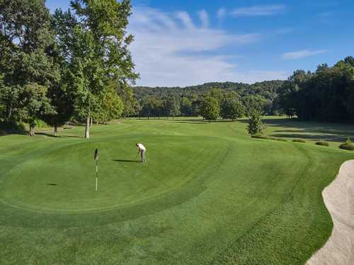 A golfer prepares to putt on a lush green golf course surrounded by trees and a sand trap in the background.