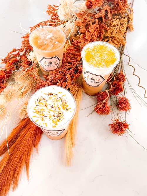 Three decorative drinks with whipped cream and toppings, surrounded by autumn-themed dried flowers and foliage.