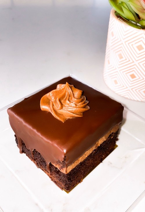 A square chocolate dessert topped with a swirl of chocolate frosting, placed on a clear plate next to a potted plant.