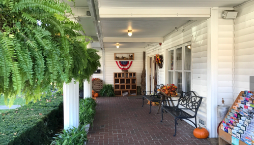 A cozy porch with benches, fall decorations, ferns, and a display of brochures on the side.