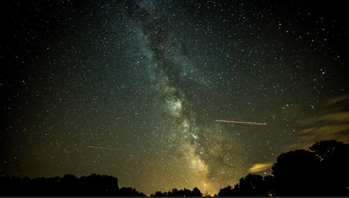 A stunning night sky filled with stars and the Milky Way, with silhouettes of trees in the foreground.