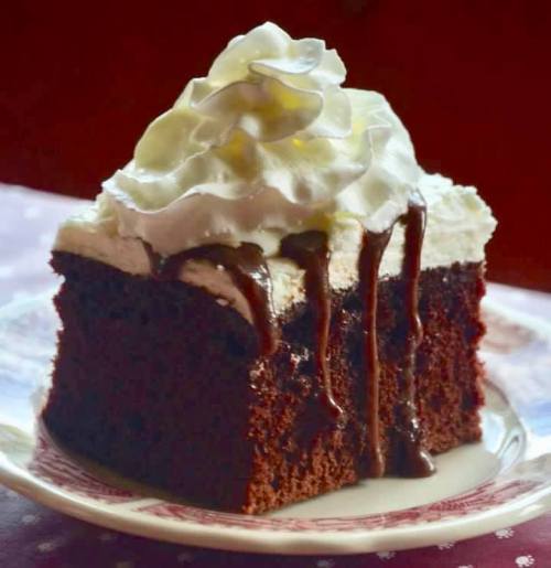 A slice of chocolate cake topped with whipped cream and drizzled with chocolate sauce on a decorative plate.