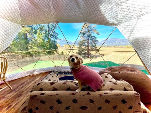 A dog in a pink sweater sits on a couch inside a geodesic dome, with a scenic view of mountains and trees outside.