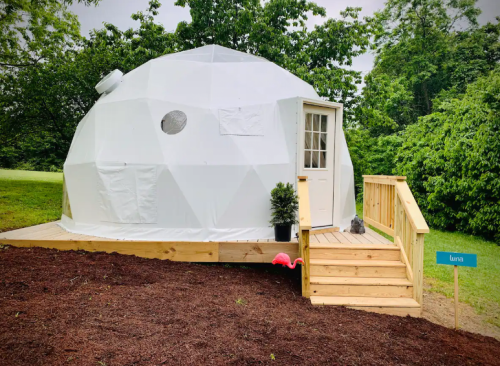 A geodesic dome structure with a wooden deck, surrounded by greenery and a flamingo decoration.