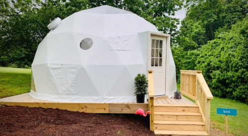 A geodesic dome structure with a wooden deck and steps, surrounded by greenery and a small flamingo decoration.
