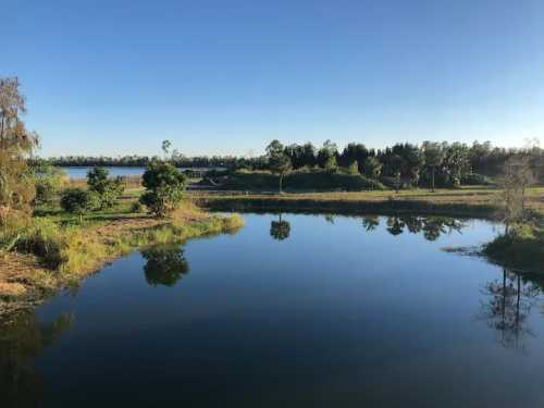 A serene landscape featuring a calm lake surrounded by trees and greenery under a clear blue sky.