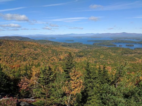 A scenic view of colorful autumn foliage over a lake and distant mountains under a clear blue sky.