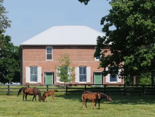 A brick building with a metal roof, surrounded by green grass and horses grazing nearby.