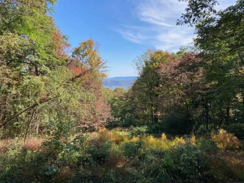 A scenic view of colorful autumn trees with a distant mountain range under a clear blue sky.