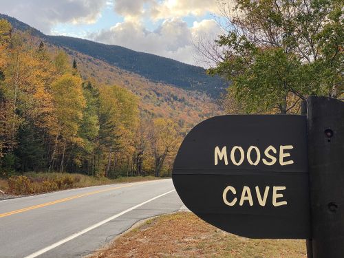 A wooden sign reading "Moose Cave" beside a road, with colorful autumn trees and mountains in the background.