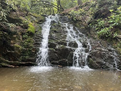 A serene waterfall cascading over mossy rocks into a calm pool, surrounded by lush greenery in a forested area.