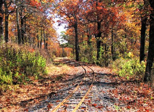 A winding railway track through a vibrant autumn forest with colorful leaves and sunlight filtering through the trees.