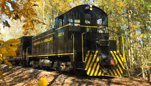 A black and yellow vintage locomotive on a forested track, surrounded by autumn foliage.