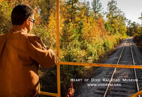 A person gazes out from a train car, surrounded by vibrant autumn foliage along the railroad tracks.