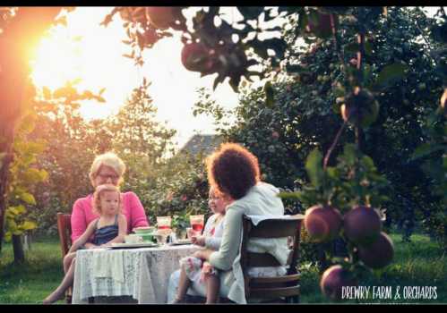 A family enjoys a picnic at a farm, surrounded by apple trees, with sunlight filtering through the leaves.