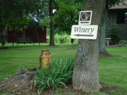 Signpost directing to a winery, with a vintage milk can and greenery in a grassy area.