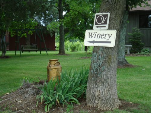 A sign pointing to a winery next to a tree, with a vintage milk can and green grass in the background.