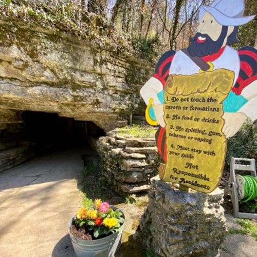A colorful sign with rules for visitors stands near a cave entrance, surrounded by flowers and greenery.