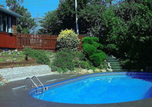 A clear blue swimming pool surrounded by lush greenery and a wooden fence on a sunny day.