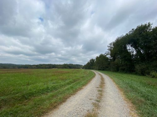 A winding gravel path through a grassy field, bordered by trees under a cloudy sky.