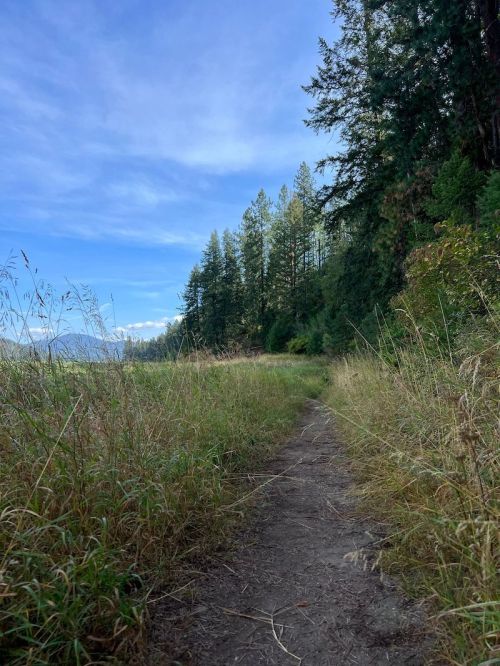 A narrow dirt path winds through tall grass and trees under a blue sky, leading into a serene natural landscape.