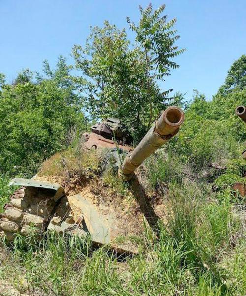 An abandoned tank partially covered in vegetation, with trees and grass surrounding it under a clear blue sky.