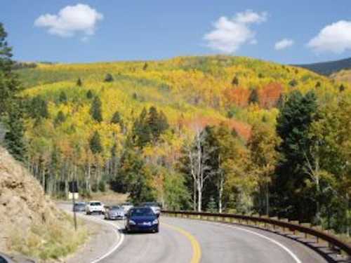 Curvy road with cars, surrounded by vibrant autumn foliage on rolling hills under a clear blue sky.