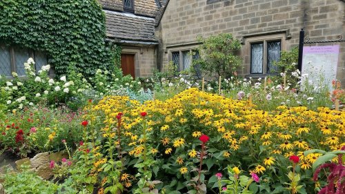 A vibrant garden filled with yellow and red flowers, surrounded by greenery and a stone building in the background.