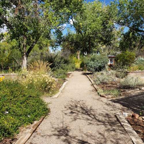 A winding gravel path through a lush garden with trees and various plants under a clear blue sky.