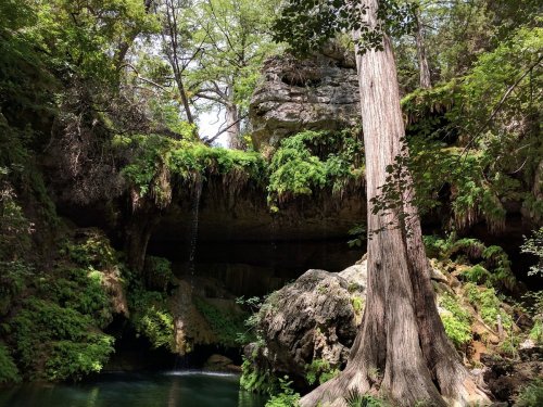 A serene forest scene featuring a rocky overhang, lush greenery, and a tranquil pool of water below.