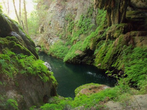 A serene, moss-covered grotto with a dark pool of water surrounded by lush greenery and rocky cliffs.
