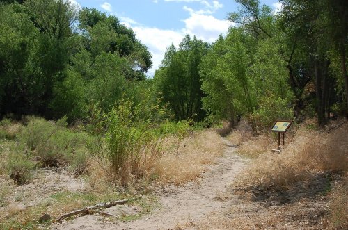 A dirt path through a lush green area with trees and shrubs, featuring an informational sign on the right.