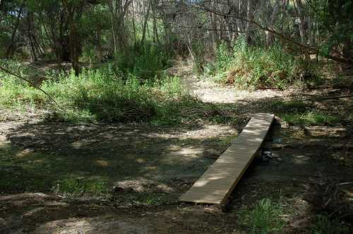 A wooden bridge spans a dry creek bed surrounded by lush greenery and trees in a tranquil forest setting.