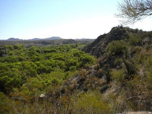Lush green valley surrounded by hills under a clear blue sky, showcasing a serene natural landscape.
