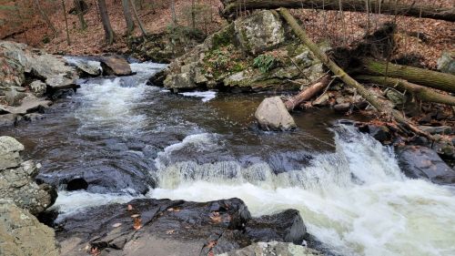 A flowing river cascades over rocks, surrounded by trees and autumn leaves in a serene natural setting.