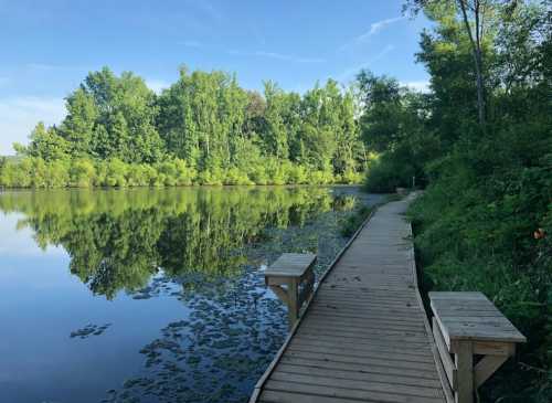 A serene wooden walkway beside a calm lake, surrounded by lush green trees and clear blue skies.