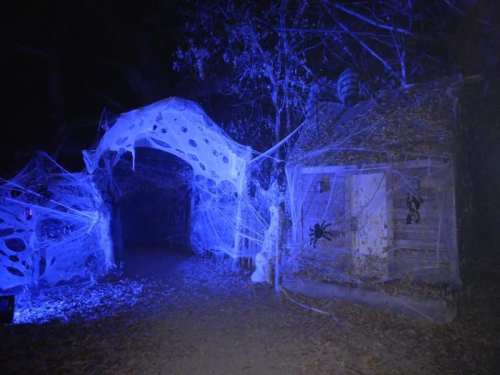 A spooky pathway adorned with blue lighting, spider webs, and a haunted house, creating a Halloween atmosphere.