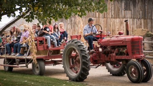 A red tractor pulls a hayride with a group of people enjoying a farm outing on a sunny day.