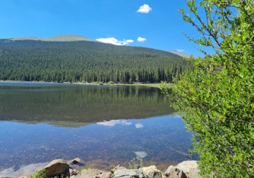 A serene lake surrounded by lush green trees and mountains under a clear blue sky.