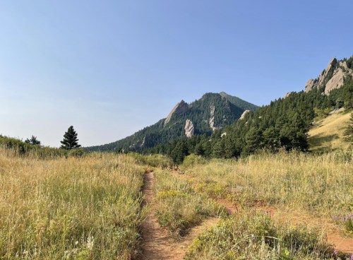 A scenic view of a grassy path leading to a mountain, surrounded by trees under a clear blue sky.