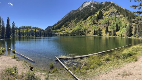 A serene lake surrounded by lush greenery and mountains under a clear blue sky. Logs are partially submerged in the water.
