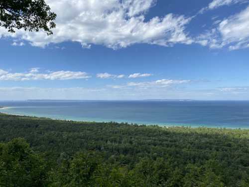 A scenic view of a lush green forest meeting a calm blue lake under a partly cloudy sky.