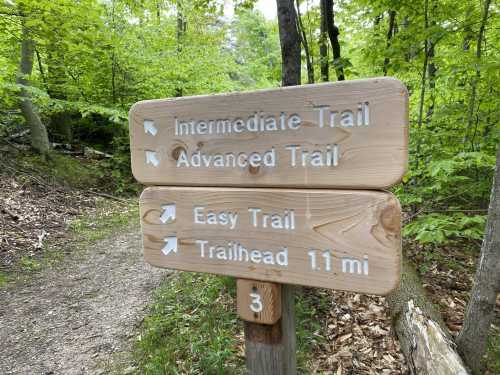 Wooden signpost in a forest directing to Intermediate, Advanced, and Easy Trails, with a trailhead 1.1 miles ahead.