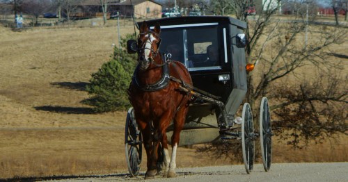 Horse-drawn buggy traveling through Amish country in Iowa