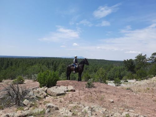 A person on horseback stands on a rocky outcrop, overlooking a forested landscape under a blue sky.